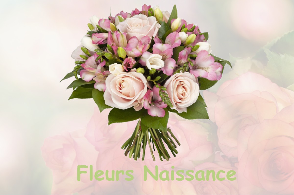 fleurs naissance PAULHAC