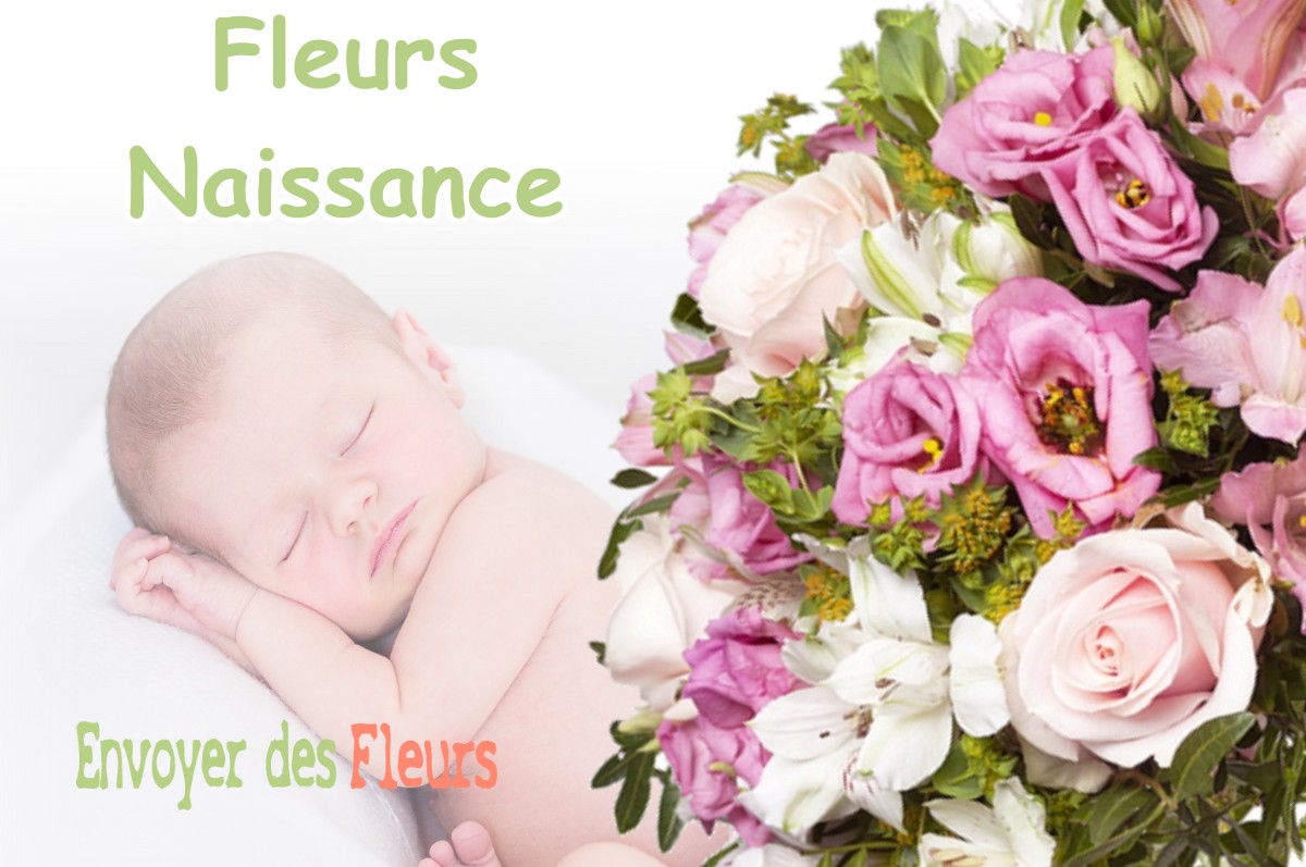 lIVRAISON FLEURS NAISSANCE à PAULHAC